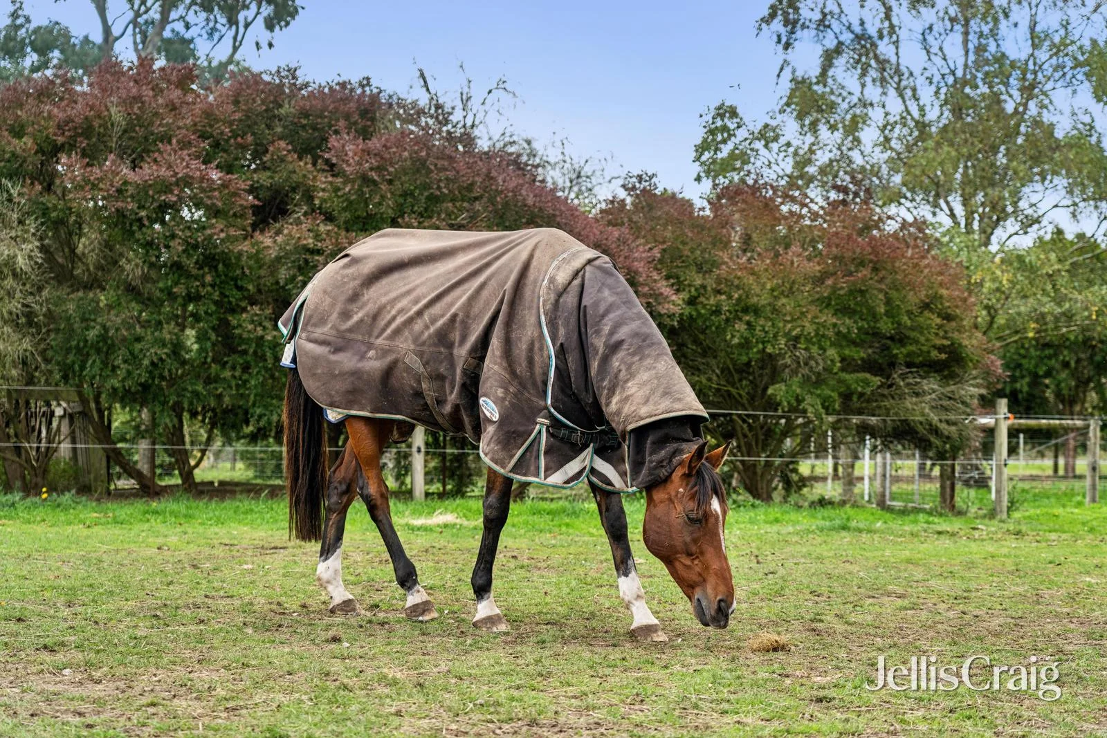 Additional image 11 of 397 Millbrook-Mount Egerton Road, Gordon VIC 3345