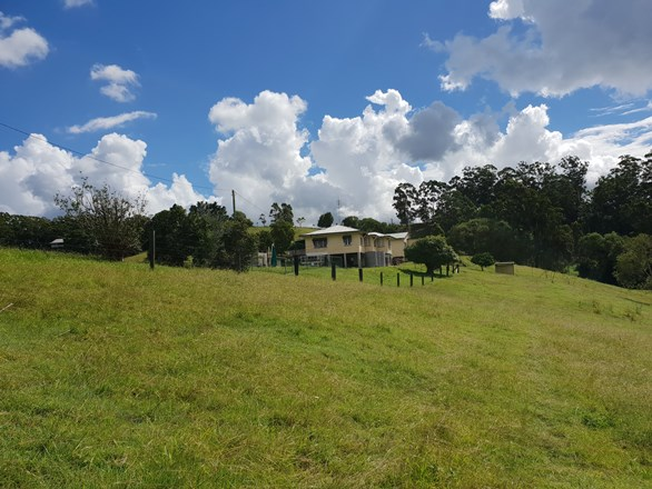 54 White Cedar Place, West Woombye QLD 4559