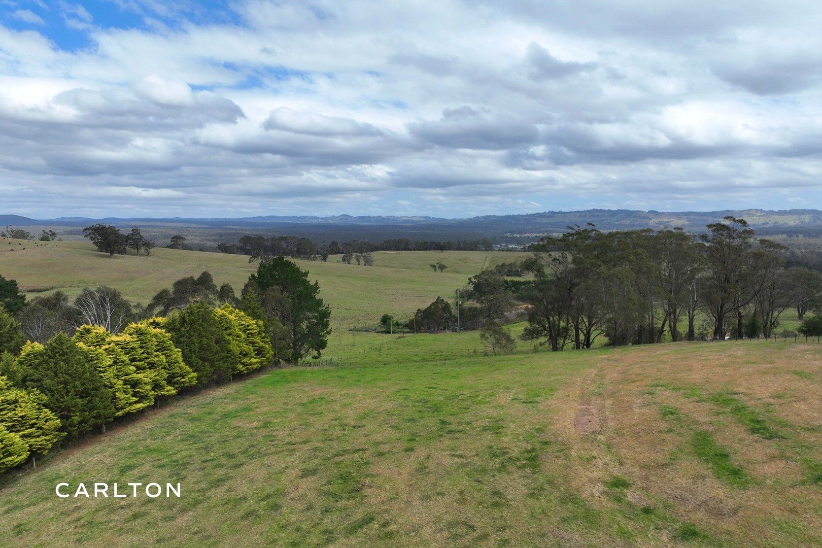 1105 Old Hume Highway, Alpine NSW 2575, Image 0