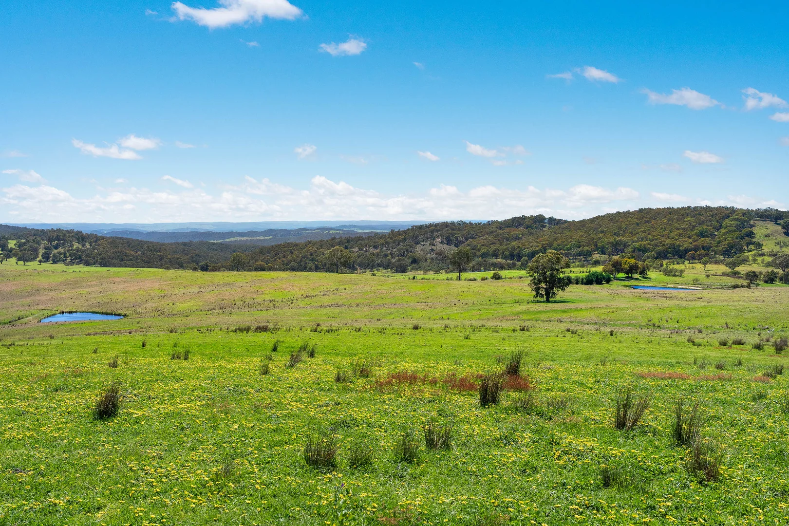 Additional image 27 of 329 Bridge Creek Road, Binda NSW 2583