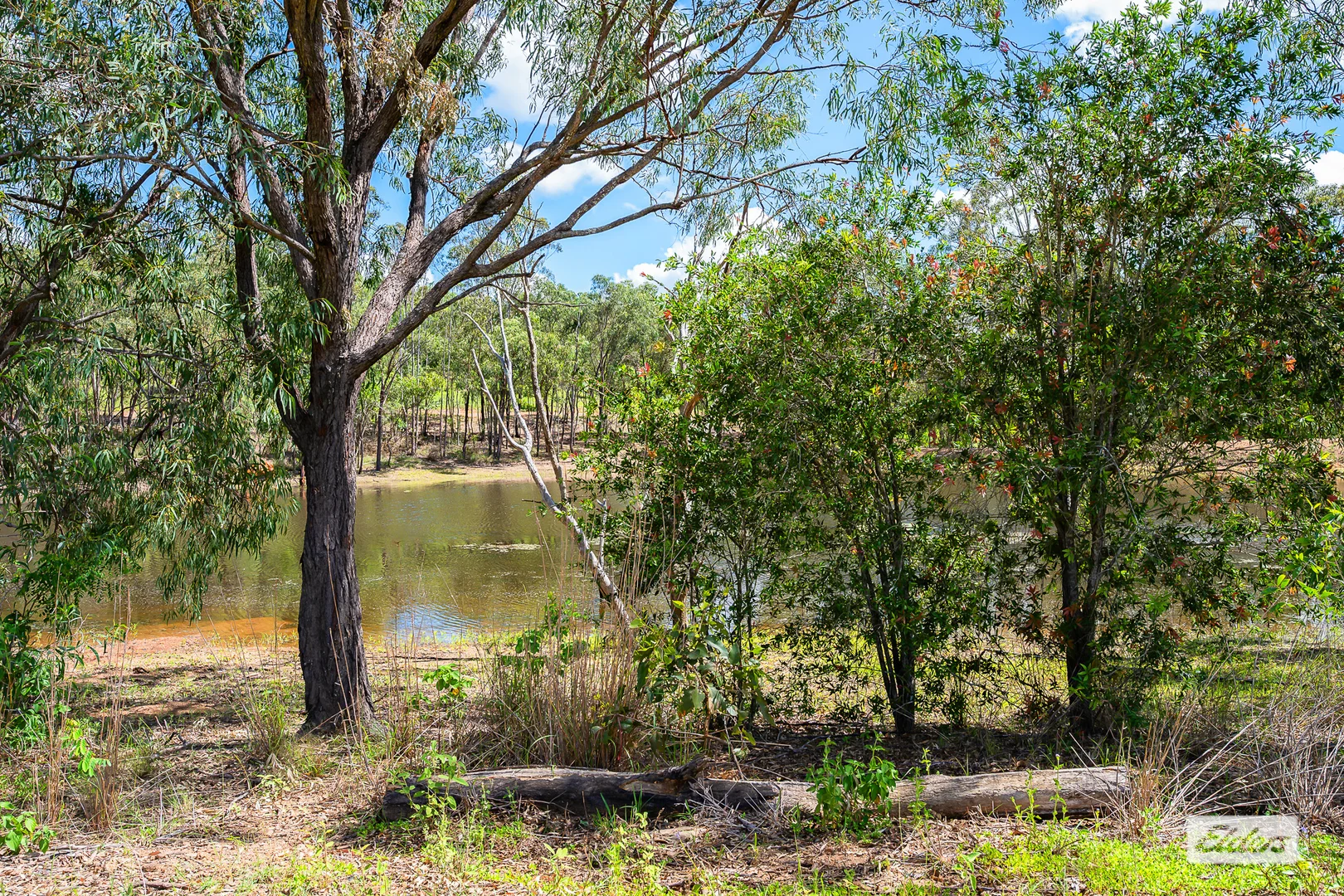 Additional image 13 of 557 Darts Creek Road, Darts Creek QLD 4695