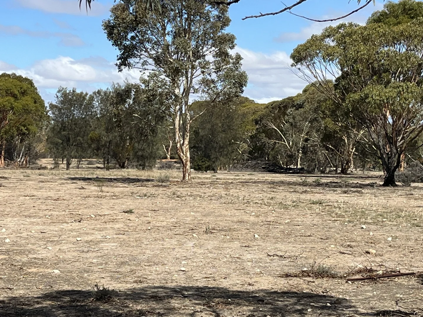 Image 14