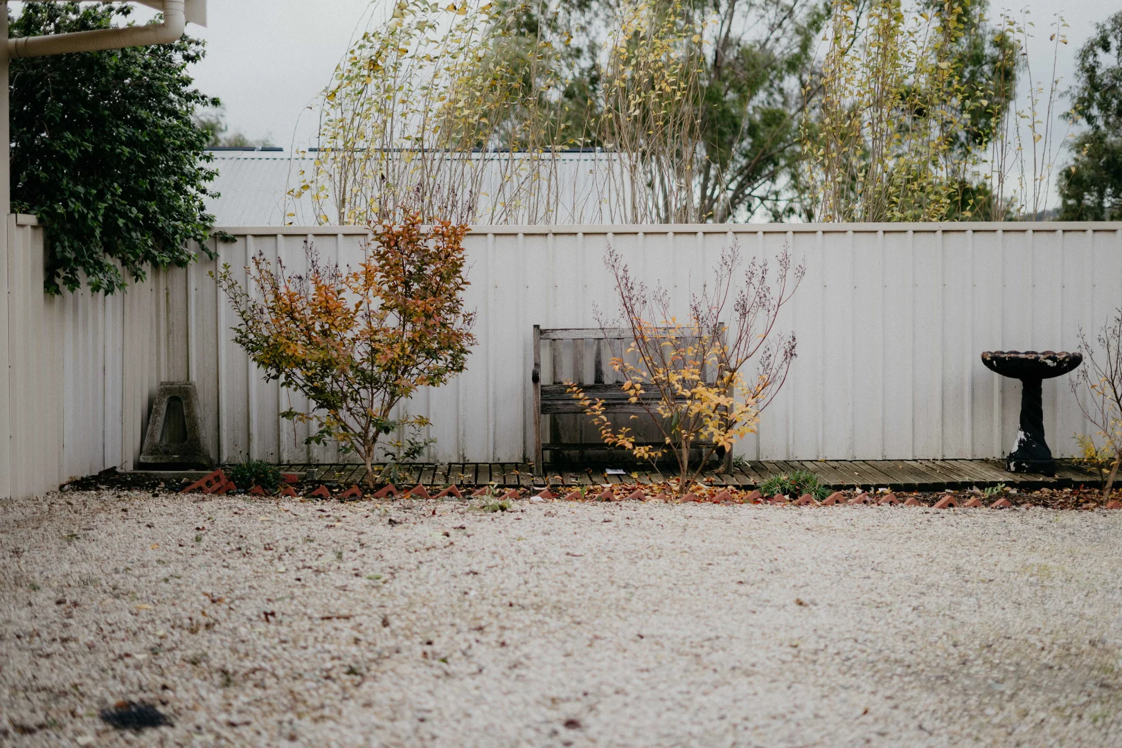 Image 25