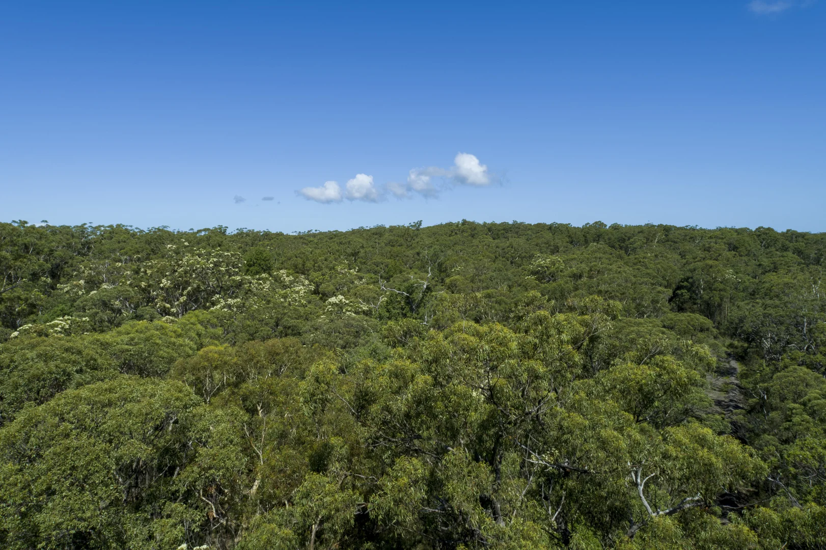 Additional image 26 of Lot 2 Parnell Road, Tomerong NSW 2540