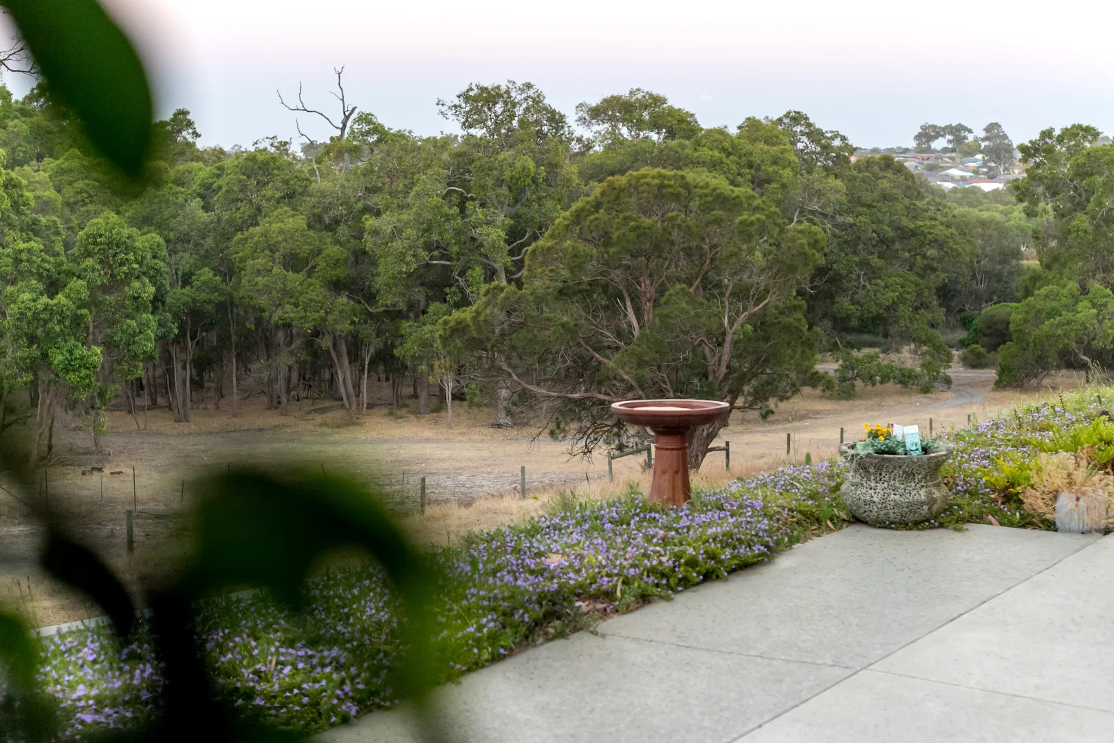Image 33