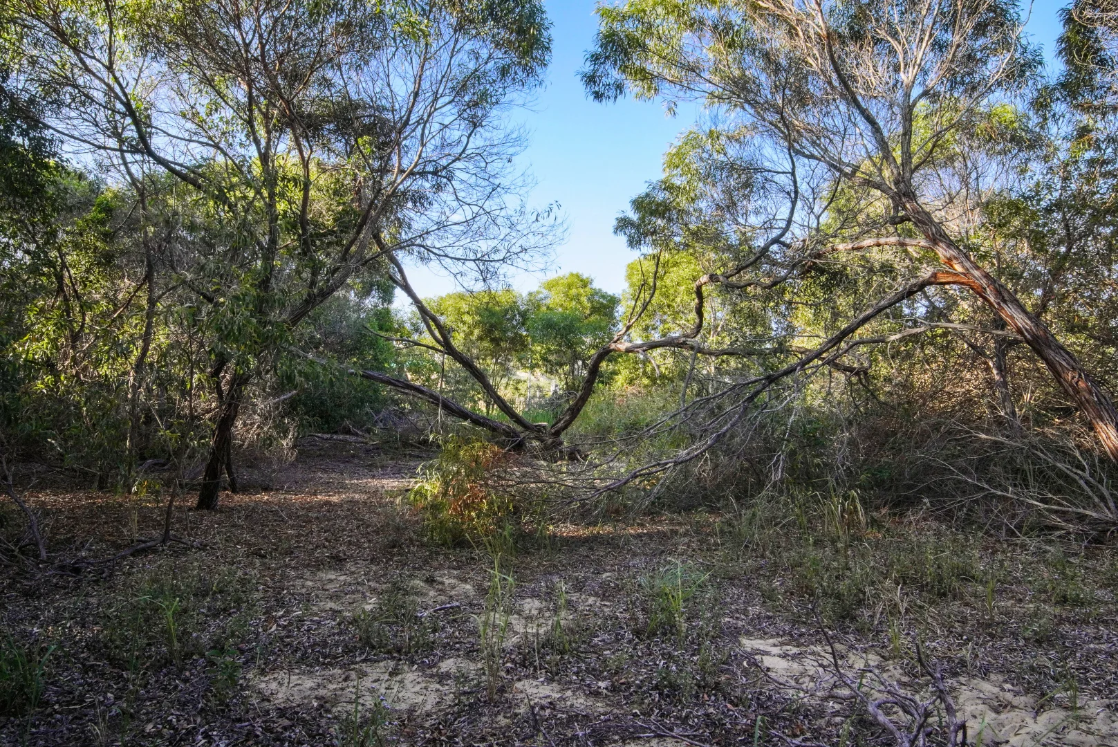Image 6