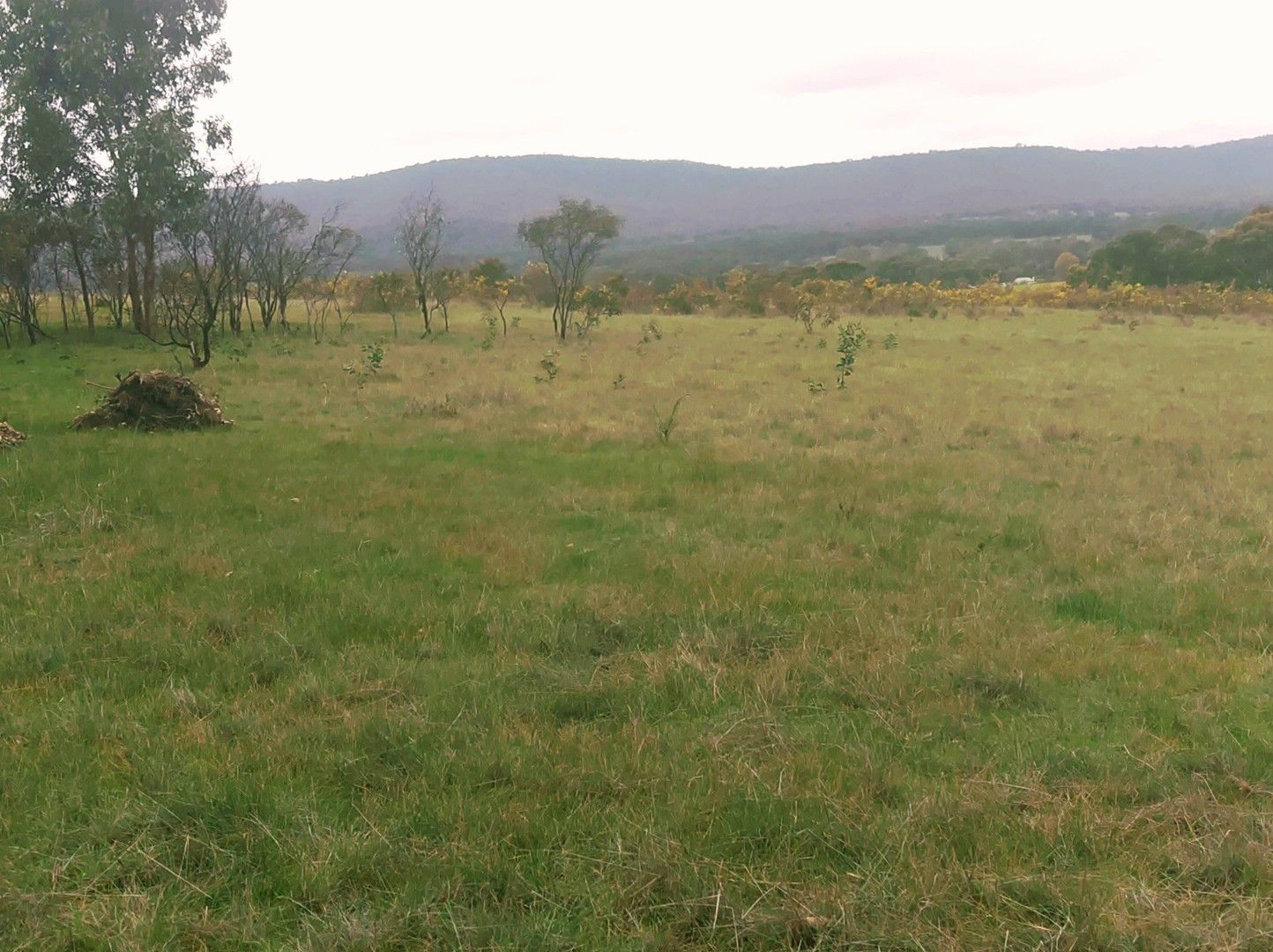 170 Rifle Butts Road, Landsborough VIC 3384 Rural Lifestyle Property