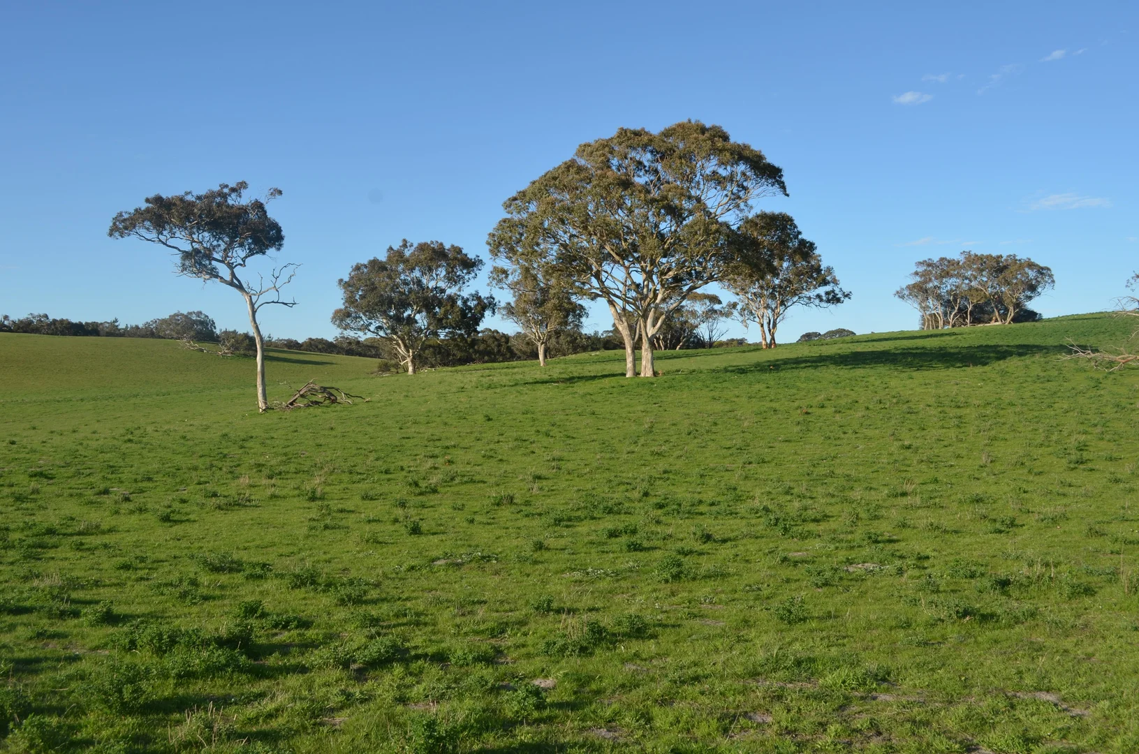 Image 10