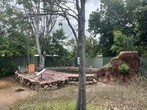 Image 13