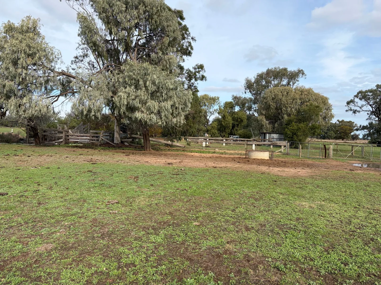 Image 11