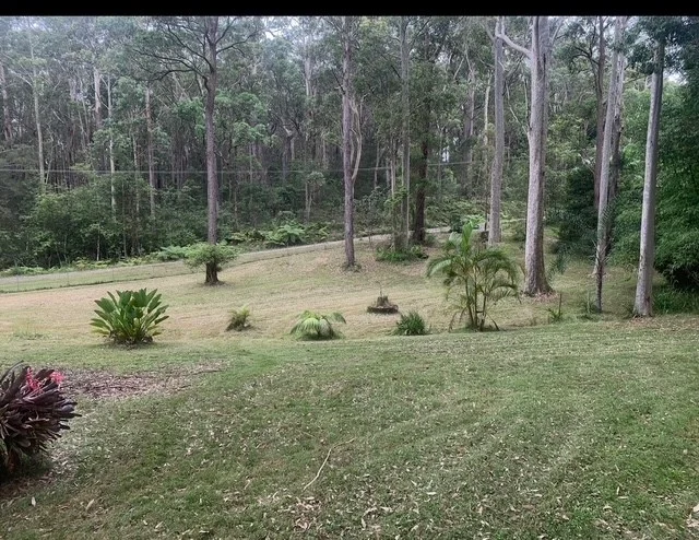 Image 25