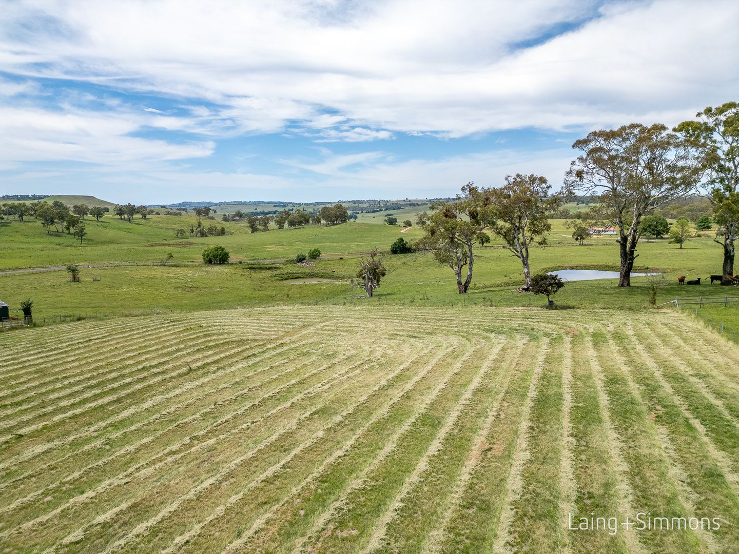 40 Elm Street, Guyra NSW 2365, Image 1