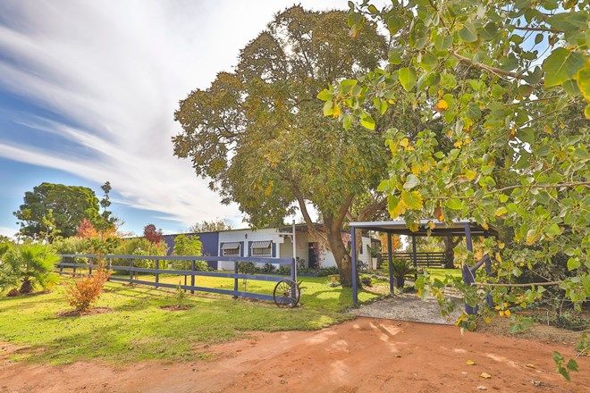 Picture of 10 McCarthys Road, MERBEIN SOUTH VIC 3505