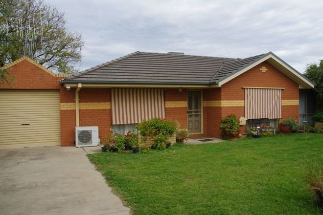 Picture of 2/5 Apricot Circuit, COBRAM VIC 3644