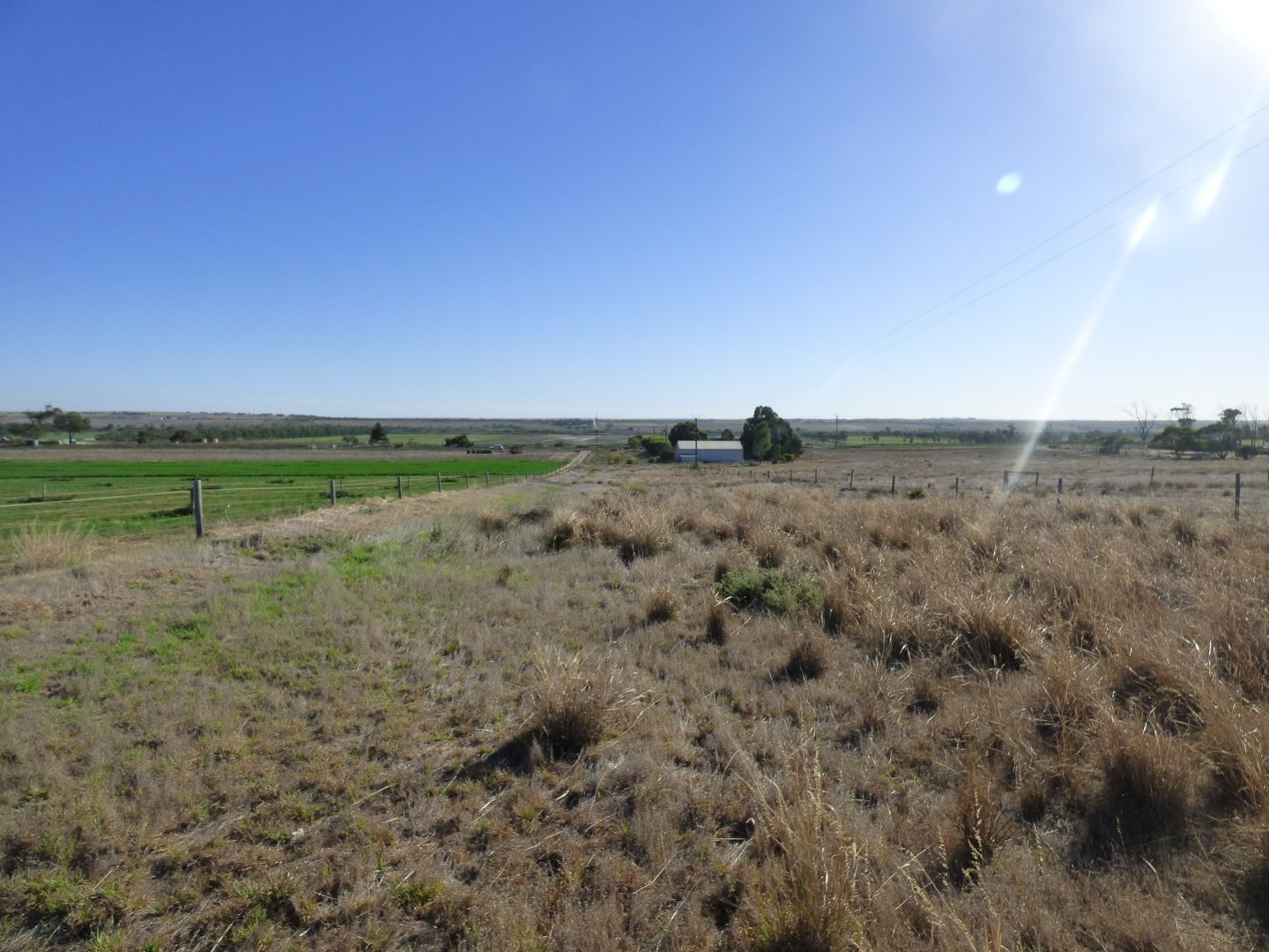 Lot 358 Jervois Road, Woods Point SA 5253, Image 1