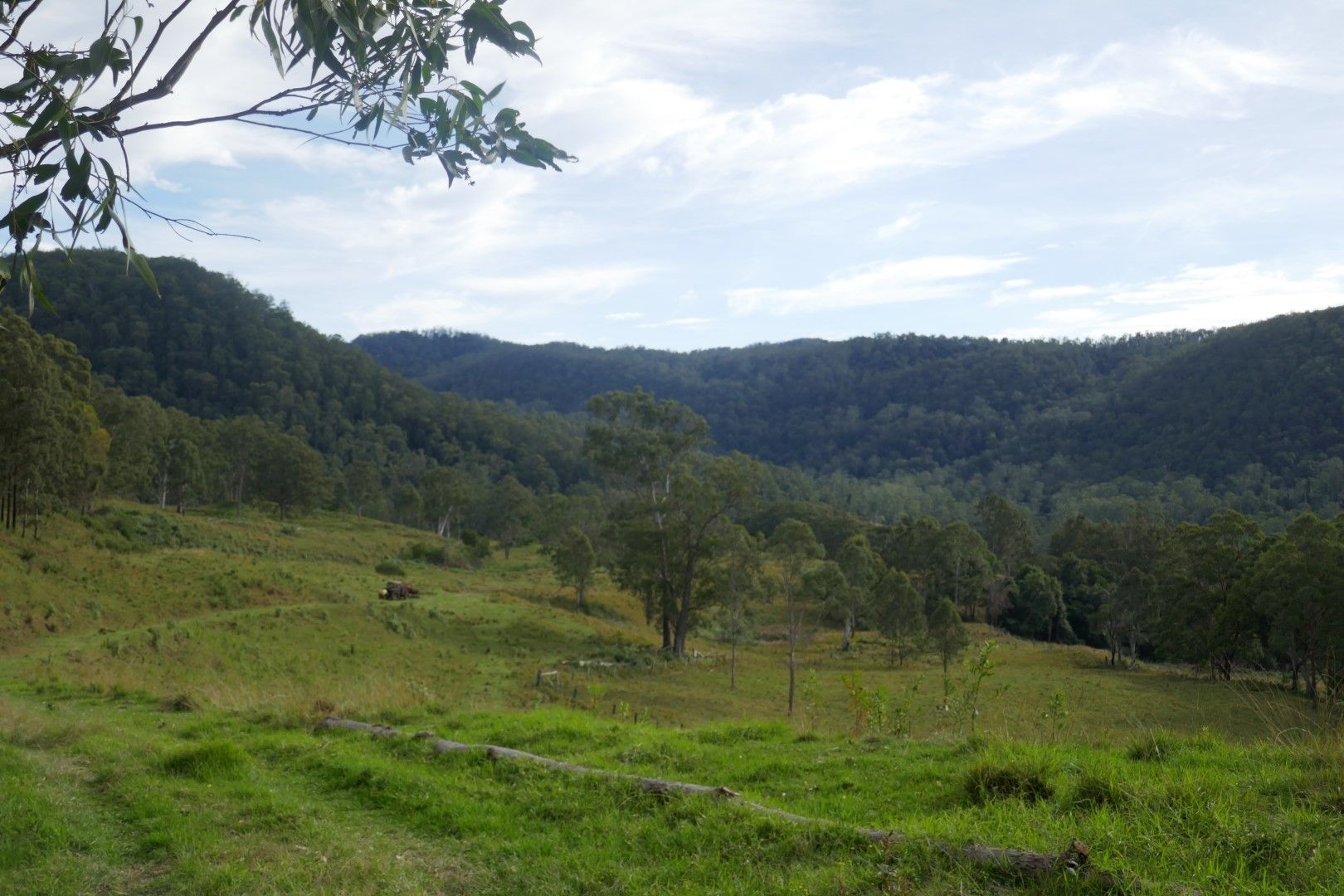 Kyogle NSW 2474 House for Sale 849,000 Domain