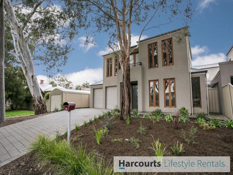 3 Nelly Street, Parkside SA 5063