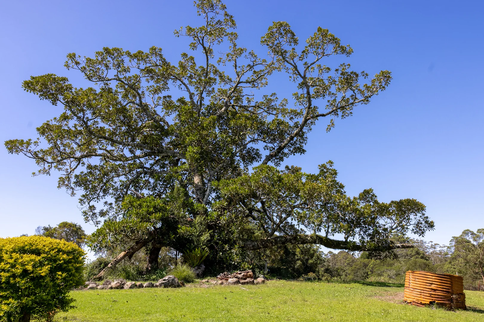 Image 11