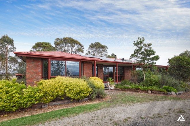 Picture of 385 Morrison Road, LABERTOUCHE VIC 3816