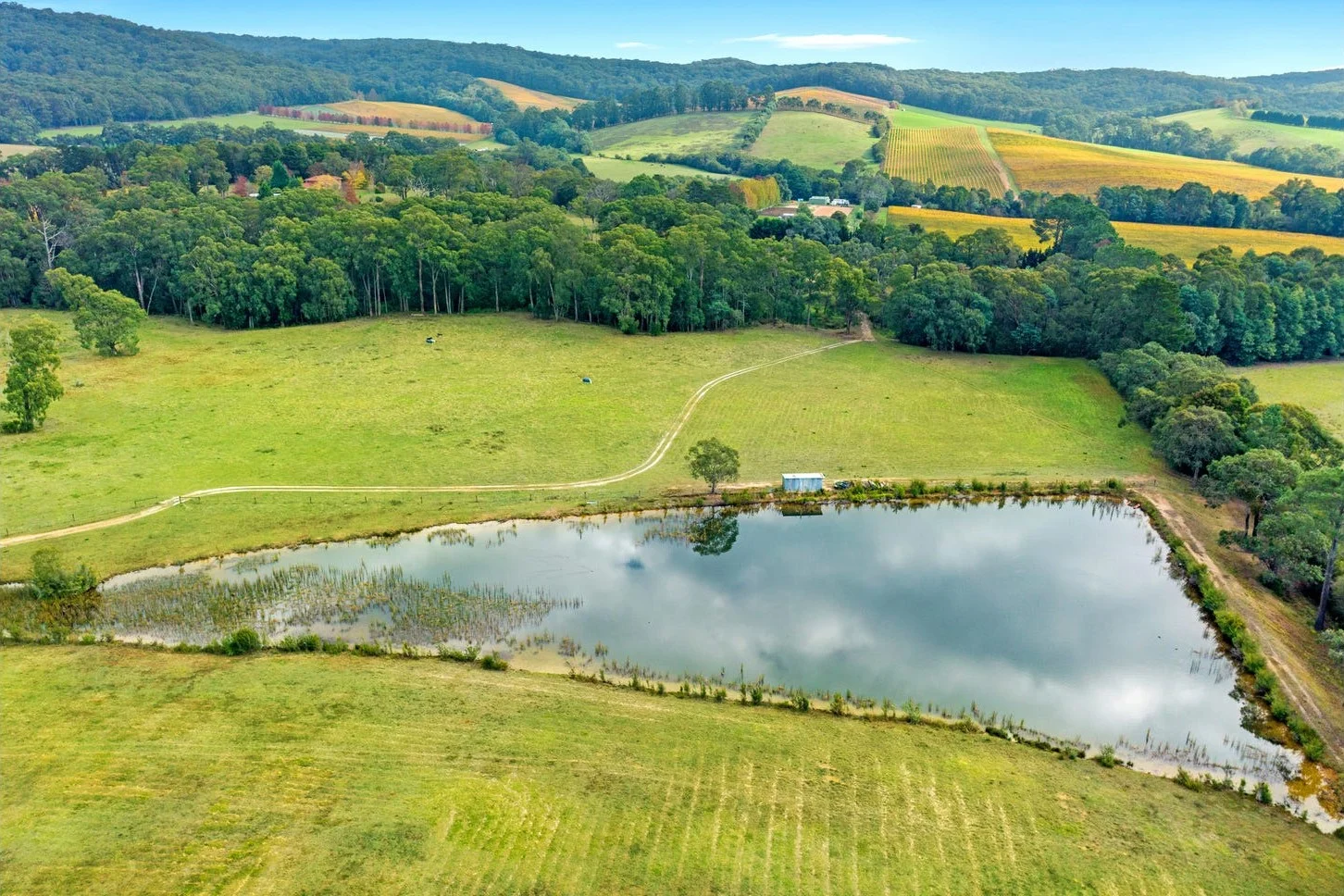 Additional image 30 of 155 Hazeldene Road, Gladysdale VIC 3797