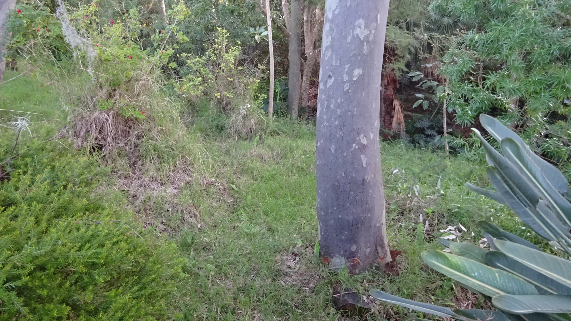 Image 12