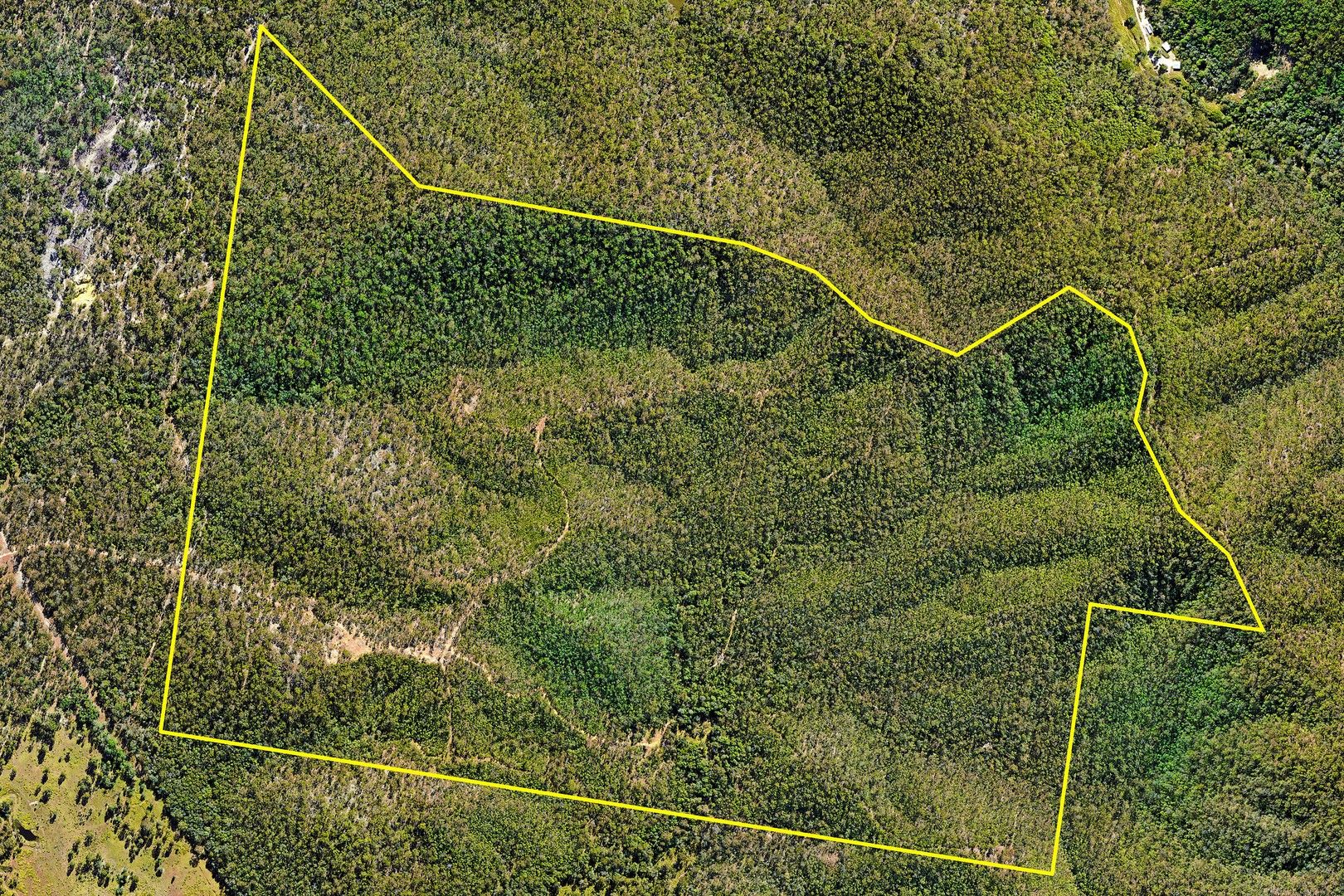 Lot 89 2338 Bruce Highway, Gunalda QLD 4570 Vacant Land for Sale