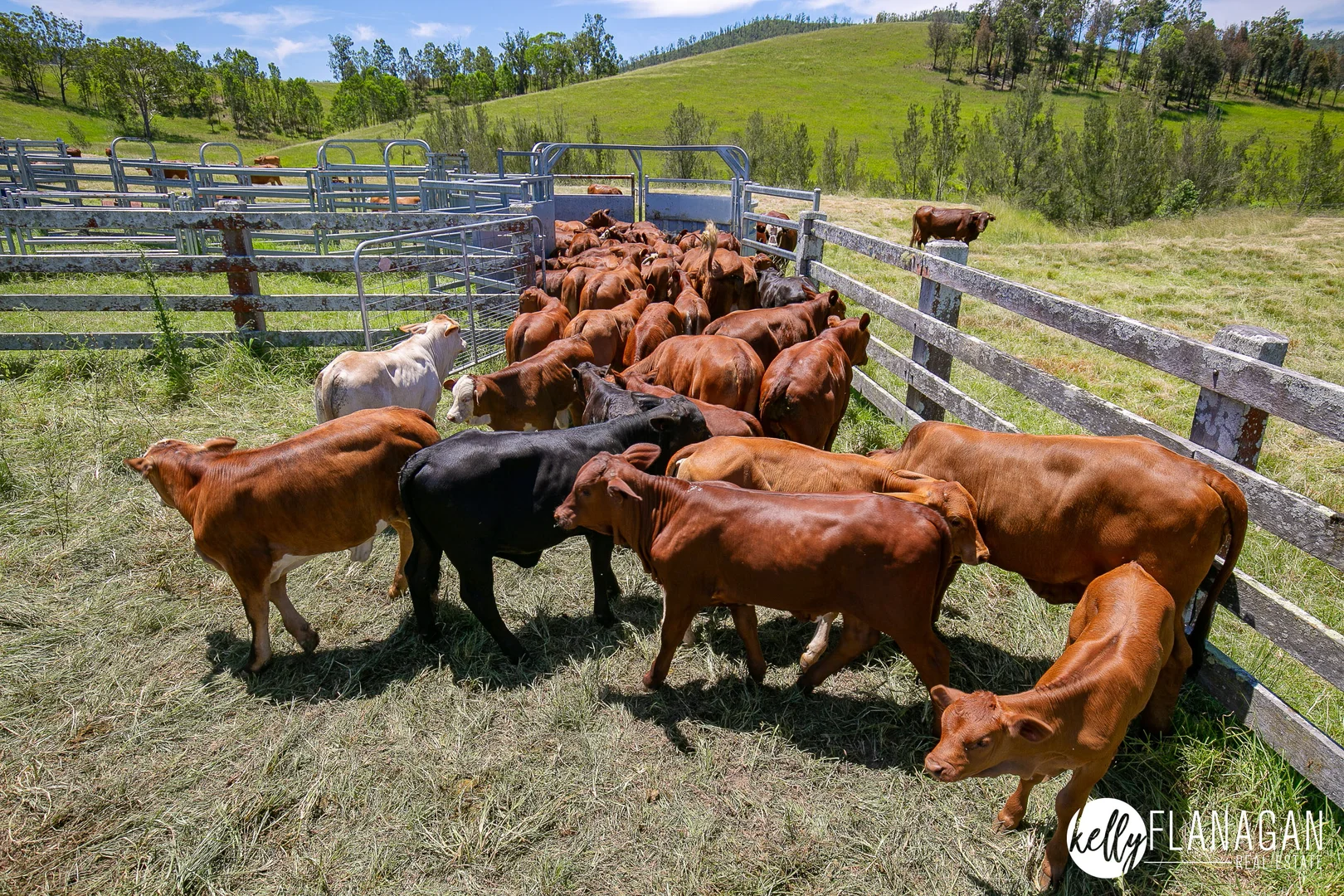 Additional image 12 of 2953 Willi Willi Road, Moparrabah NSW 2440