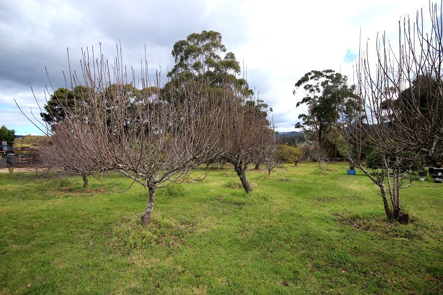 Lot 1221 Princes Highway, Greigs Flat NSW 2549, Image 2