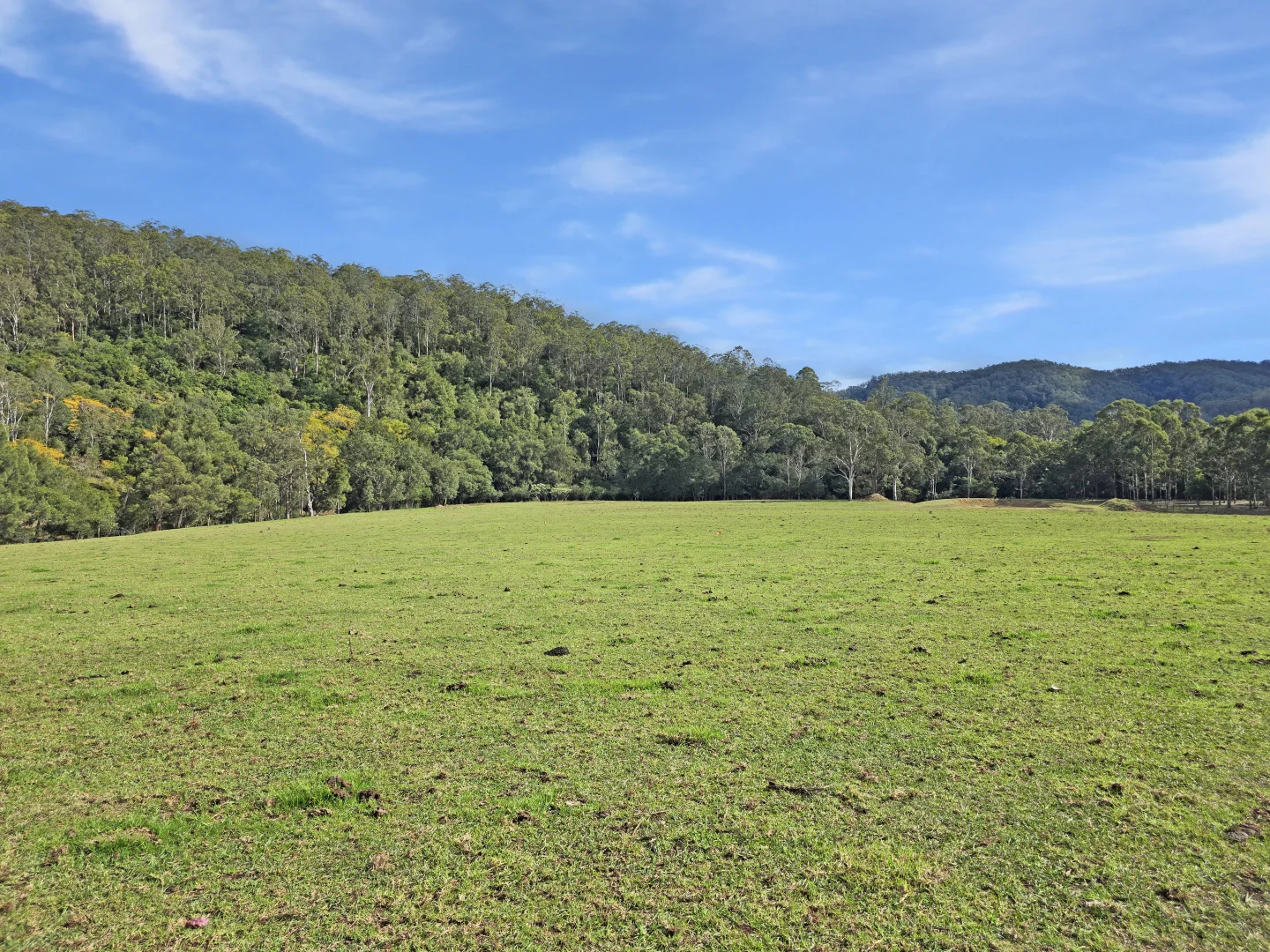 Image 26