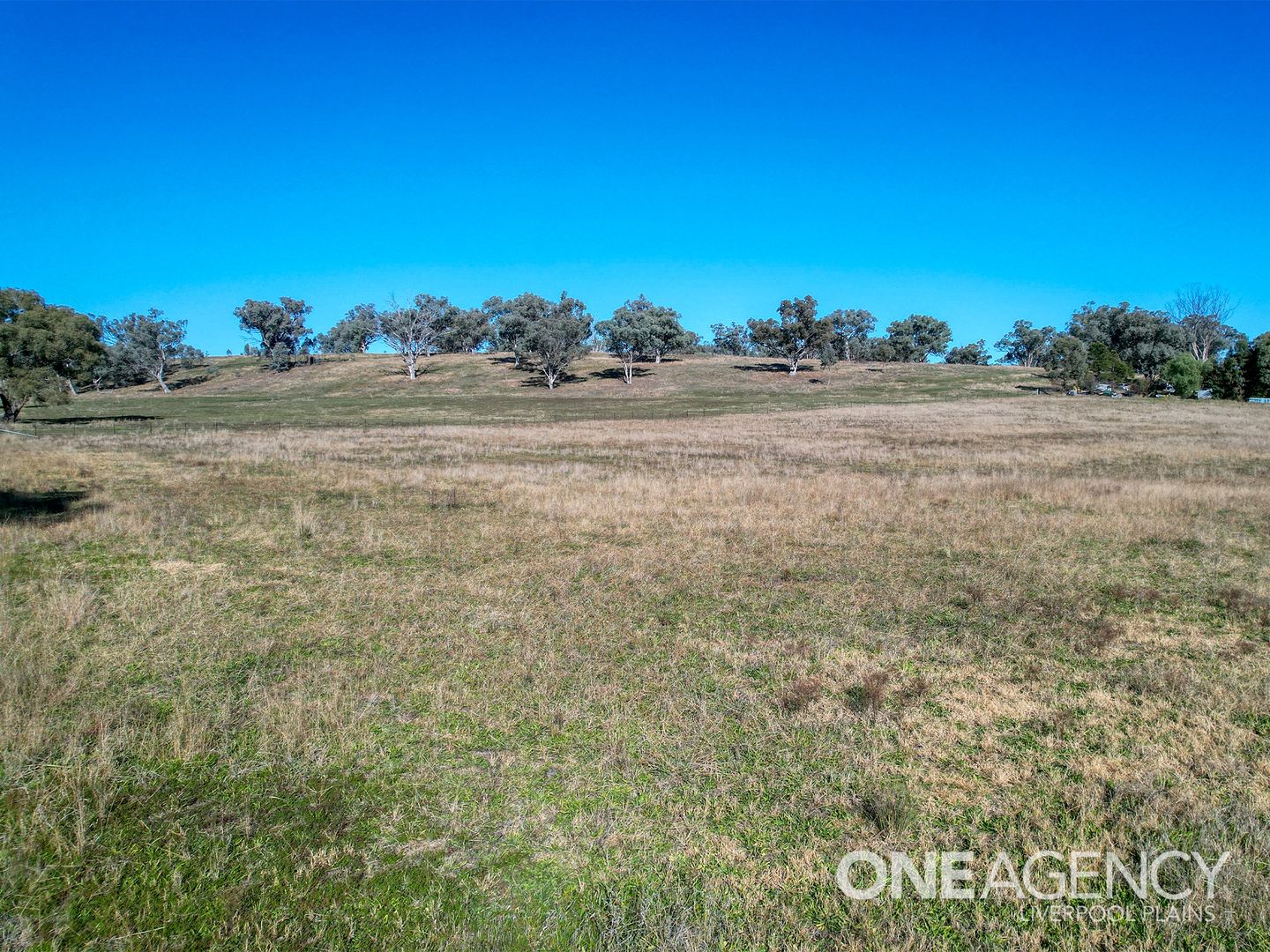 141 Wallabadah Road, Wallabadah NSW 2343 Vacant Land for Sale