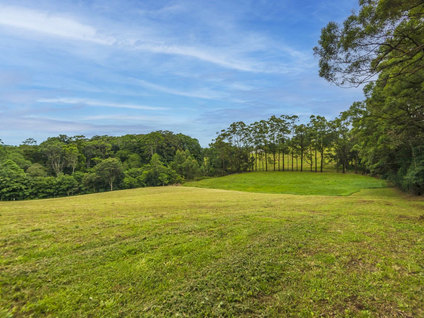 Lot 21 Wenga Drive, Alstonvale NSW 2477, Image 1