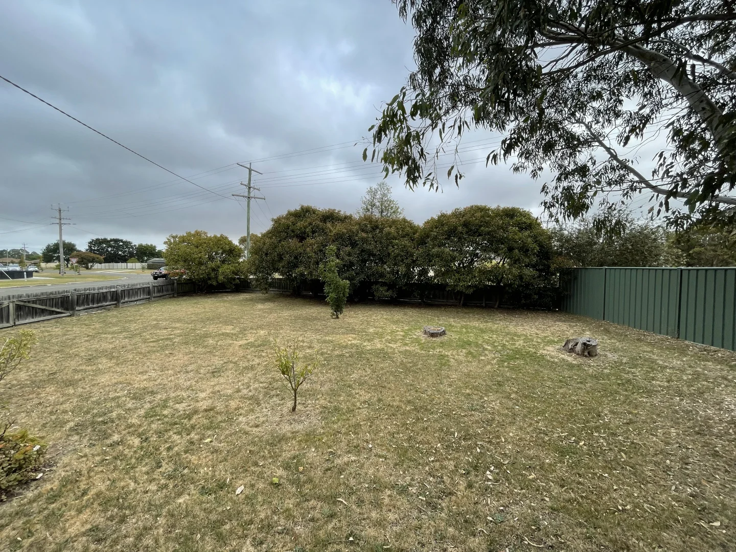 Image 21