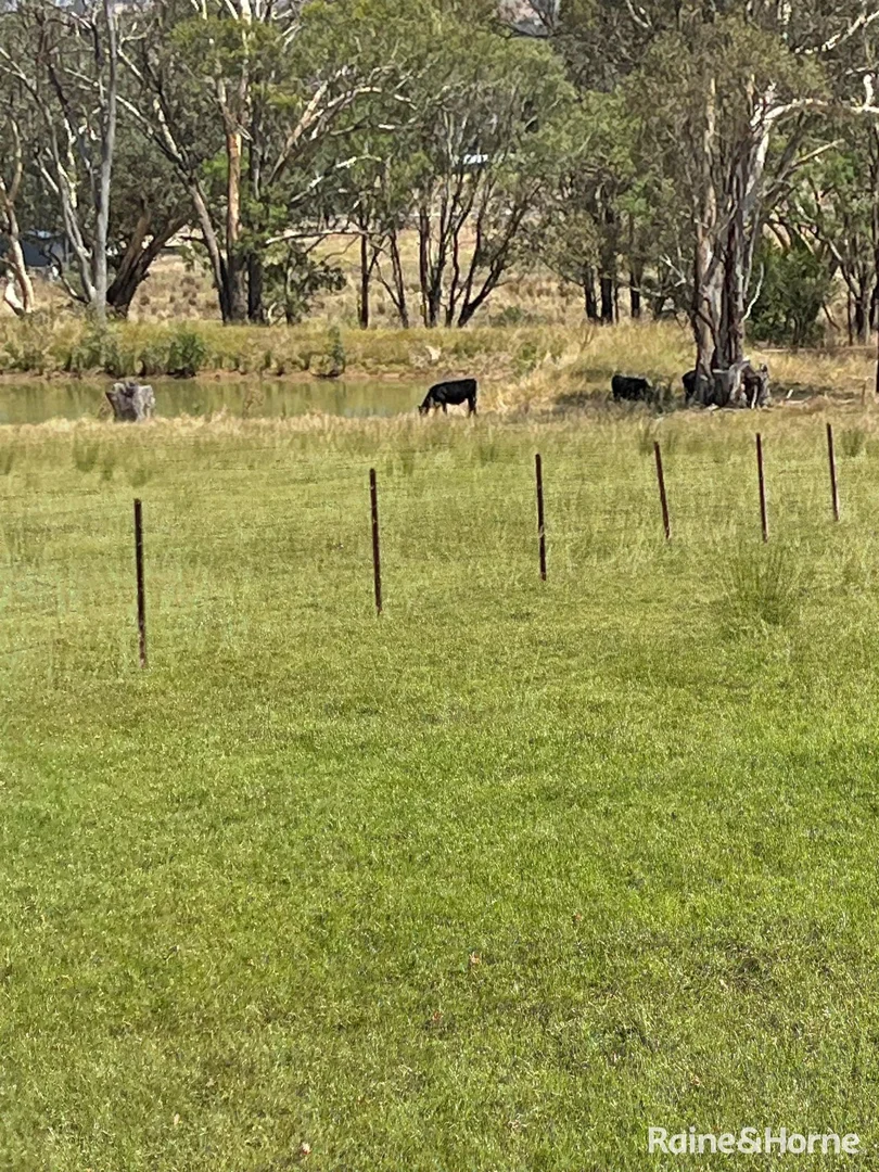 Additional image 17 of 210 Belmore Rd, Young NSW 2594