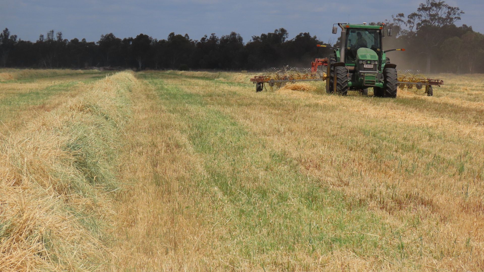 5395 Texas Yelarbon Road, Goondiwindi QLD 4390 Specialist Farm for Sale