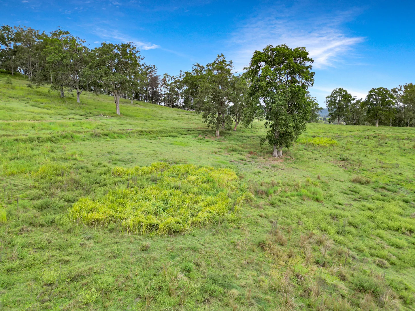 Additional image 8 of Lot 146 Nolans Road, Mummulgum NSW 2469