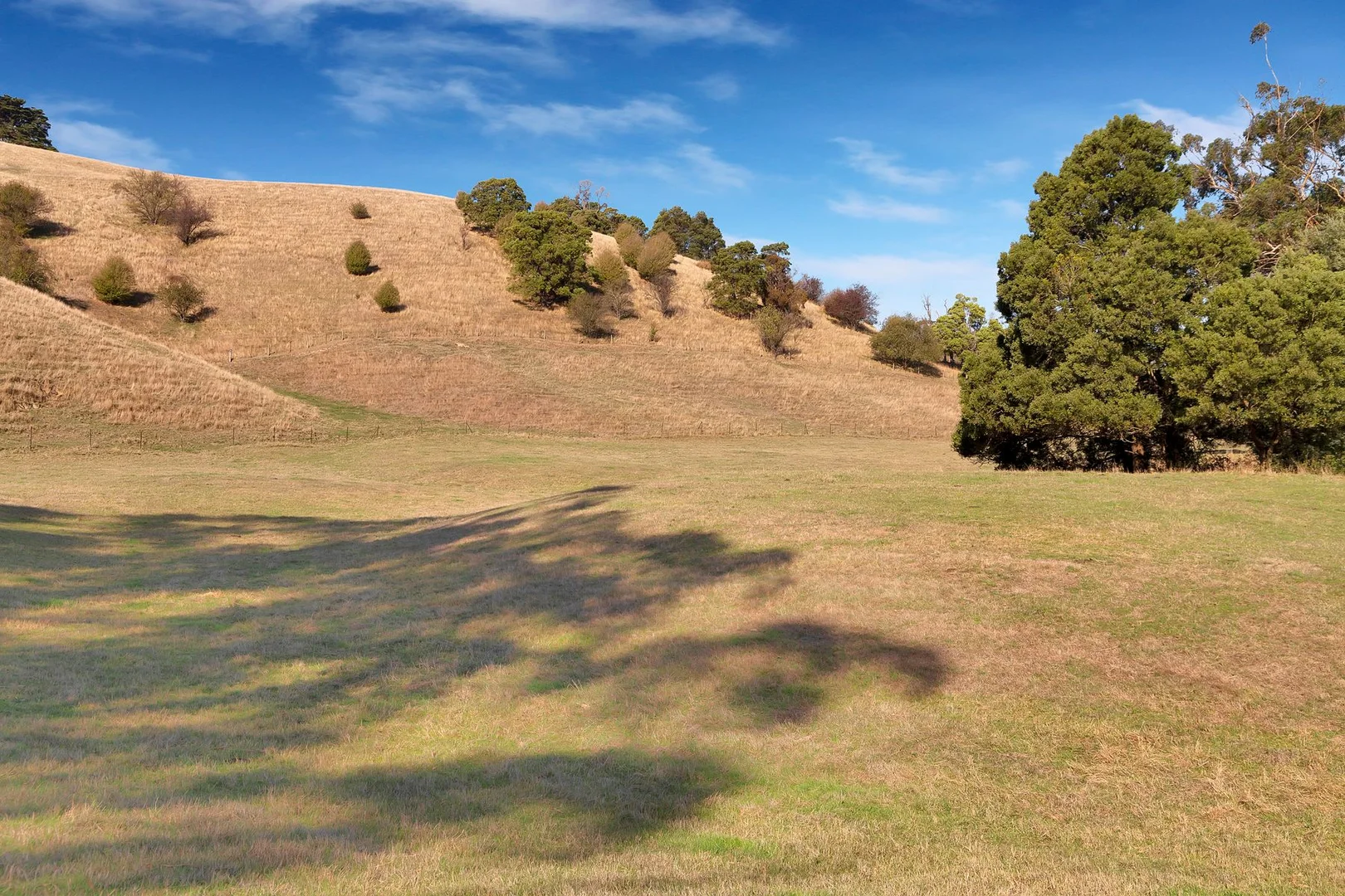 Additional image 25 of 840 Soldiers Road, Poowong VIC 3988