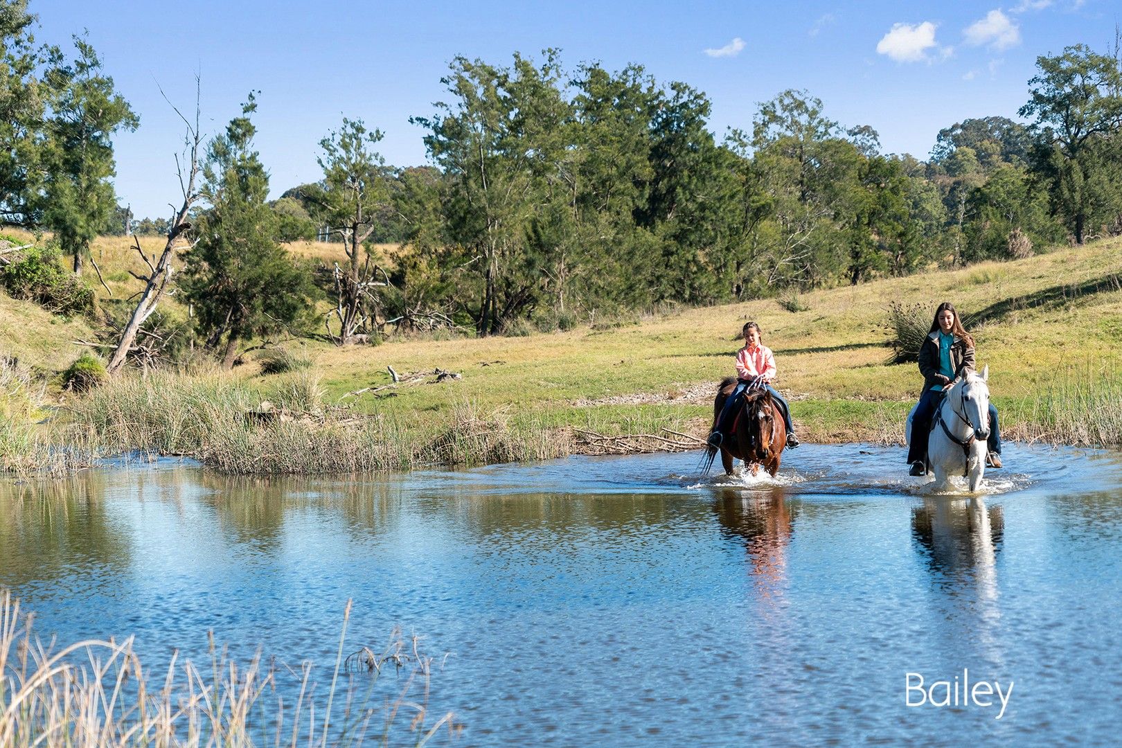 207 Glendonbrook Road, Glendon Brook NSW 2330, Image 0