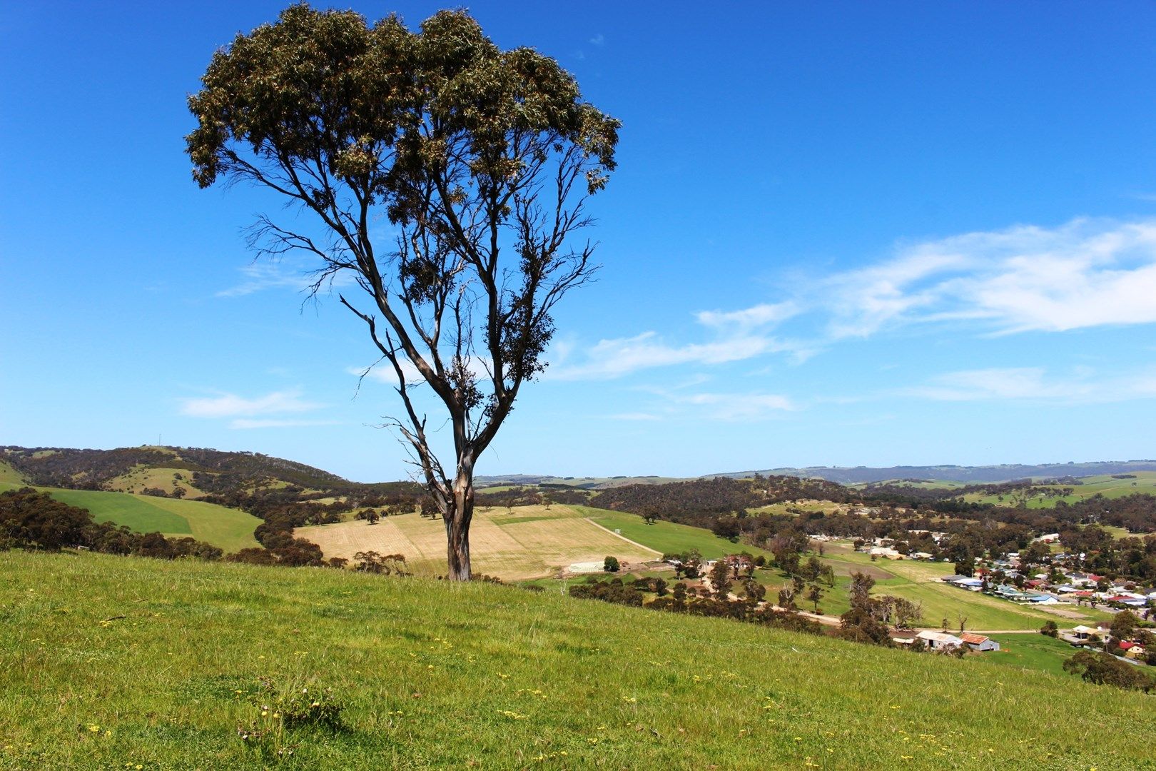 1002 Charles Street, Yankalilla SA 5203, Image 0