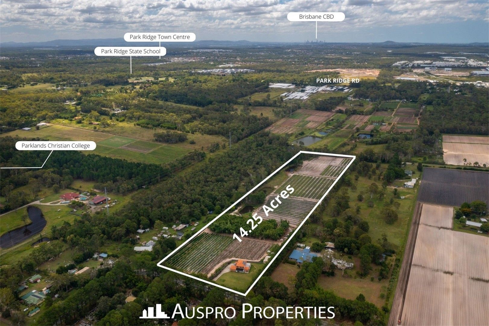 239249 Koplick Rd, Park Ridge QLD 4125 House for Sale Domain