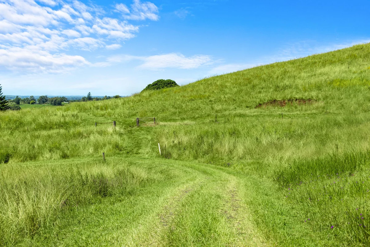 Additional image 27 of 675 Pines Road, Edenville NSW 2474