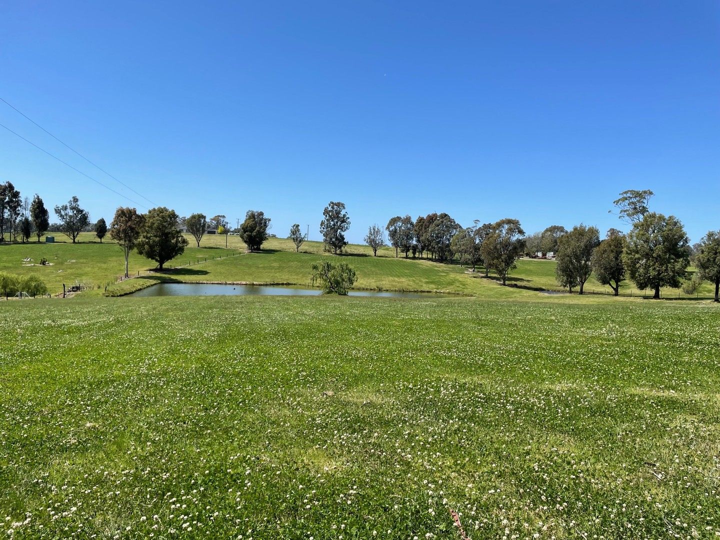 Lot 2154 Coolagolite Rd, Coolagolite NSW 2550, Image 0