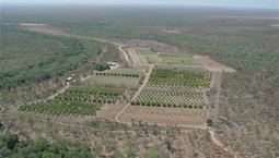 Picture of 2351 Edith Farms Rd Wilderness Farms, KATHERINE NT 0850