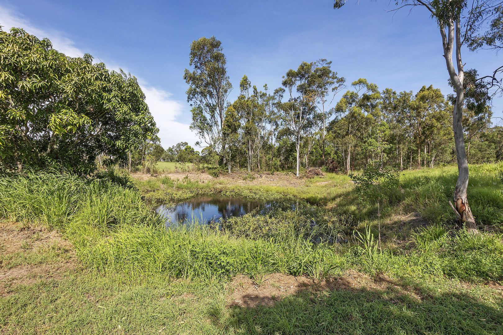 307 Mount Chalmers Road, Mount Chalmers QLD 4702, Image 2