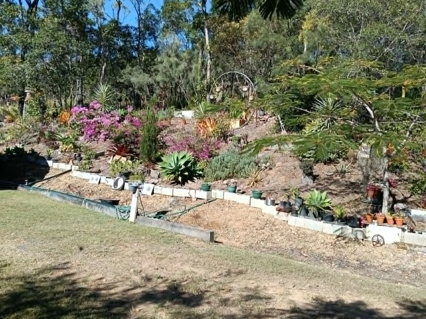 Image 25