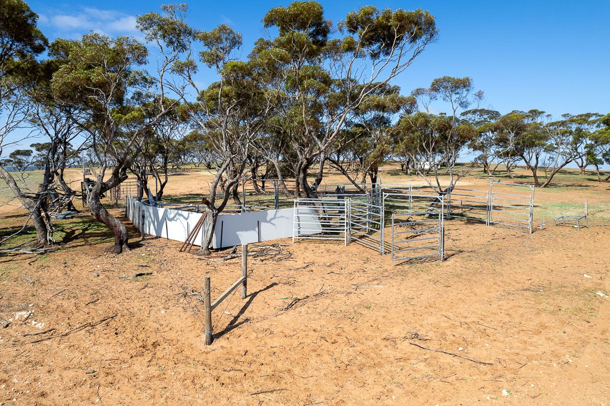 105 Piggery Road, Mannum SA 5238, Image 2