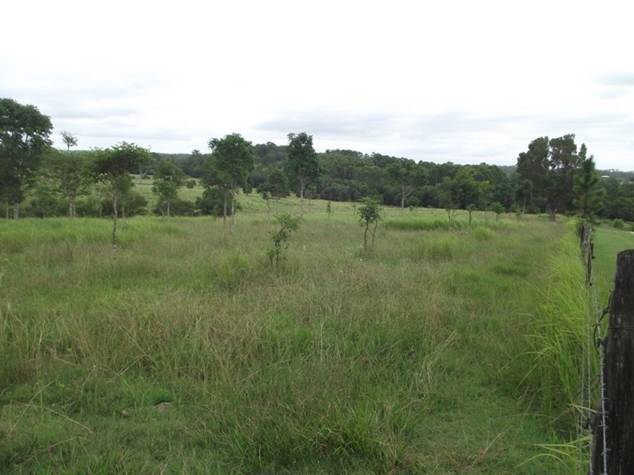 Lot 1 Sandy Creek Road, Veteran QLD 4570, Image 1