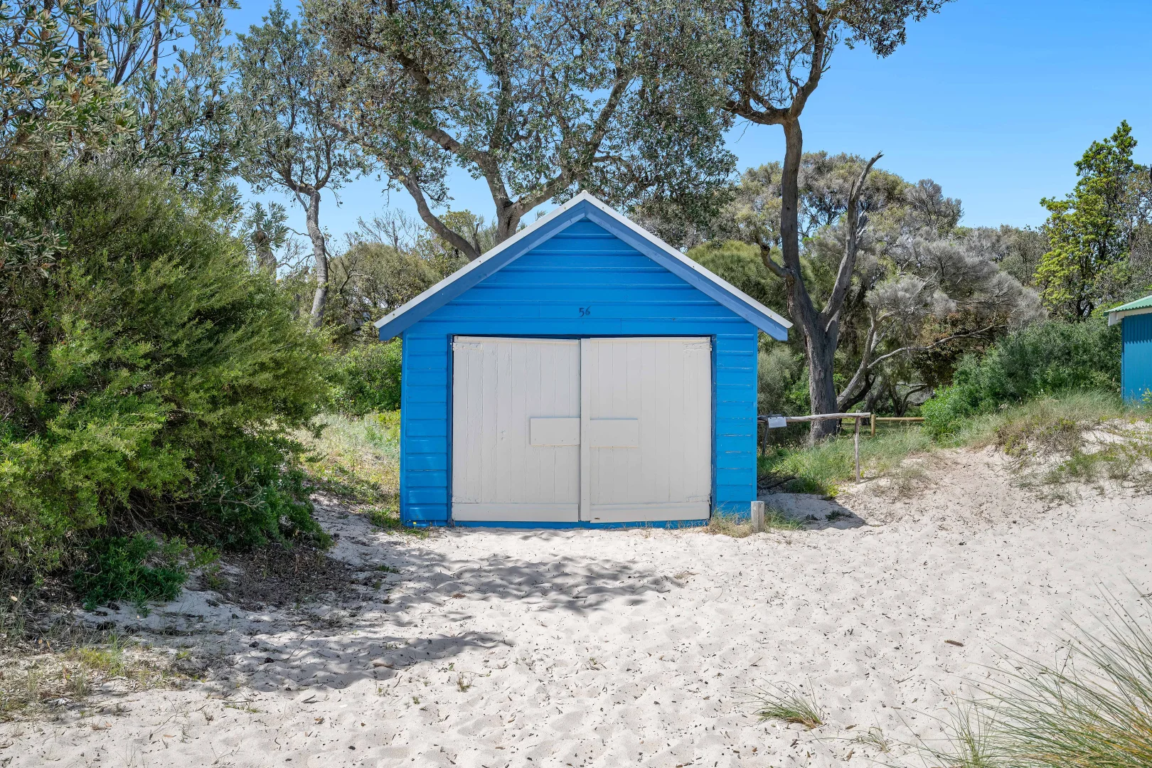 Image 7