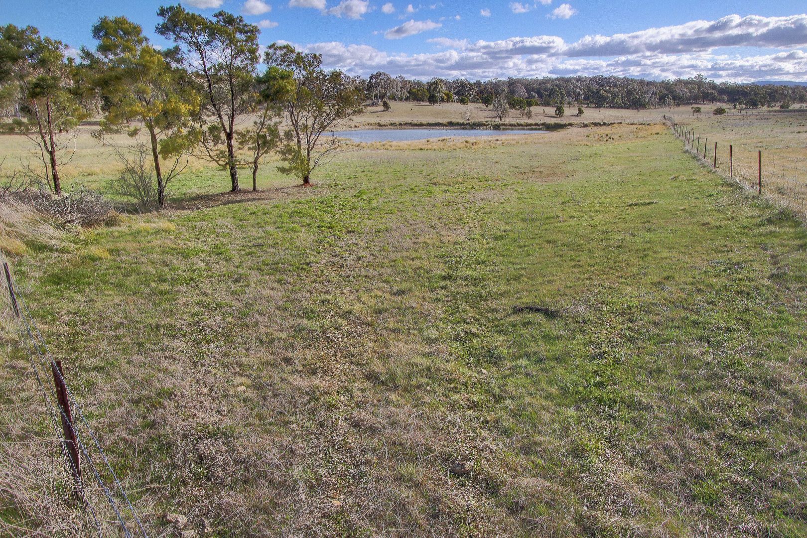 438 Readers Road, Goulburn NSW 2580, Image 2