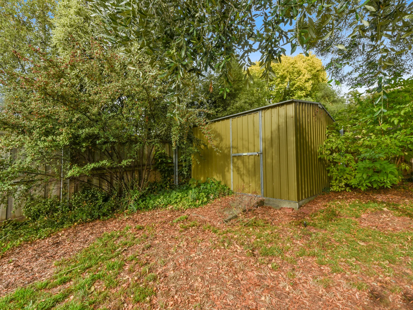 Additional image 22 of 3 Monds Street, Newstead TAS 7250