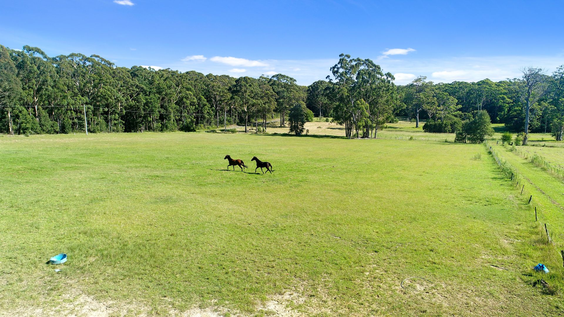 437 Hawken Road, Tomerong NSW 2540, Image 2